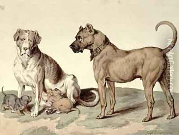 The Mastiff Oil Painting - Sydenham Teast Edwards