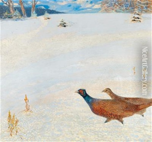 Pheasants In A Winter Landscape Oil Painting - Hugo Baar