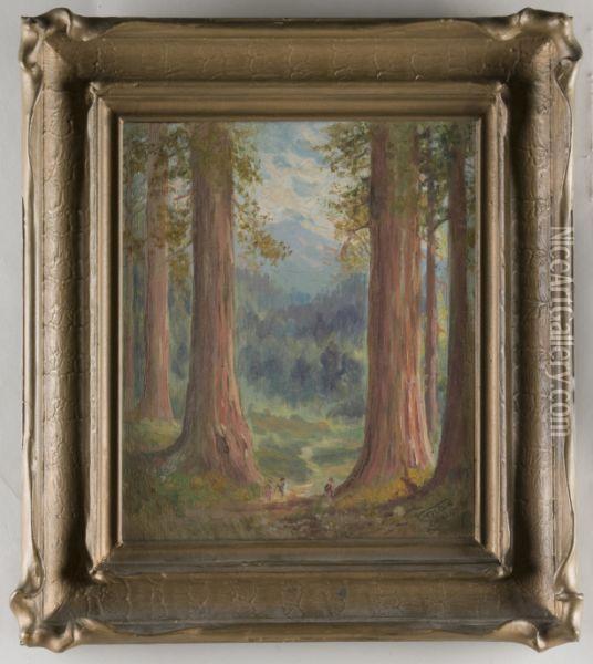 Redwoods Oil Painting - Tilden Dakin