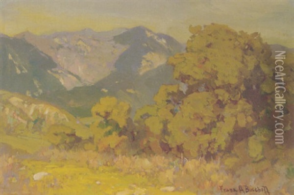 Canyon In Spring Oil Painting - Franz Arthur Bischoff