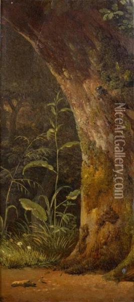 Un Chene Dans Un Sous-bois Oil Painting - Simon-Joseph-Alexandre-Clement Denis
