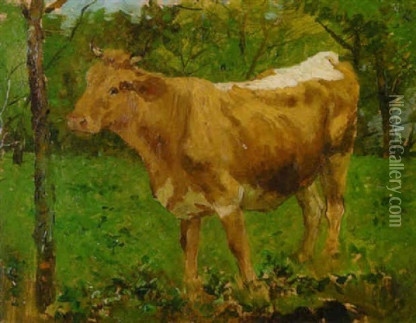 Jungstier Auf Der Weide Oil Painting - Anton Braith