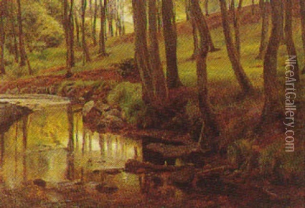 Alob I Moesgard Skov 1885 Oil Painting - Janus la Cour