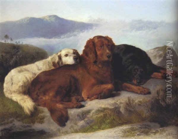 Setters In A Highland Landscape Oil Painting - George William Horlor
