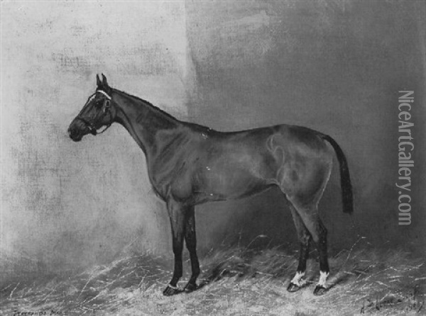 Flatands Mare, An Equestrain Portrait Oil Painting - Henry Frederick Lucas Lucas