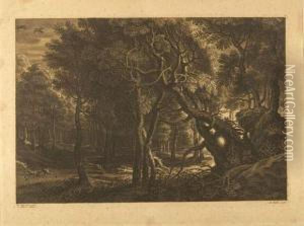 Waldlandschaft Nach Rubens. Oil Painting - Schelte Adams Bolswert