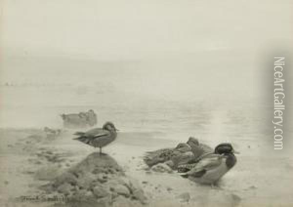 Wild Duck & Teal: The Morning Sunbanks Through The Mist Oil Painting - Frank Southgate
