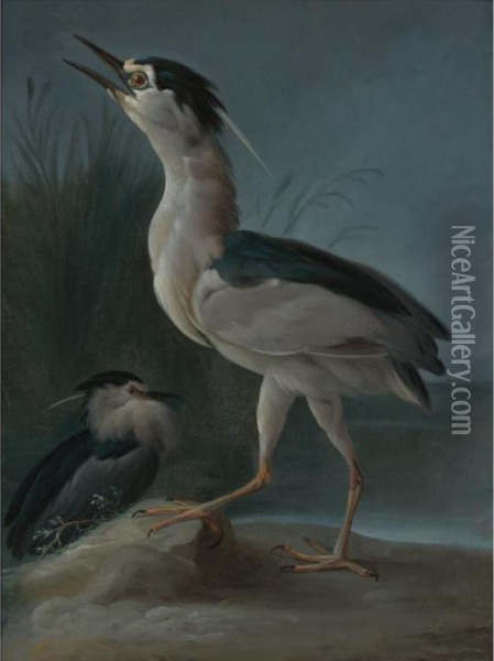 Herons In A Landscape Oil Painting - Rosa Bonheur