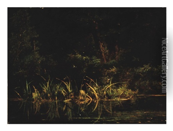 Marsh Landscape Oil Painting - Karl Bodmer
