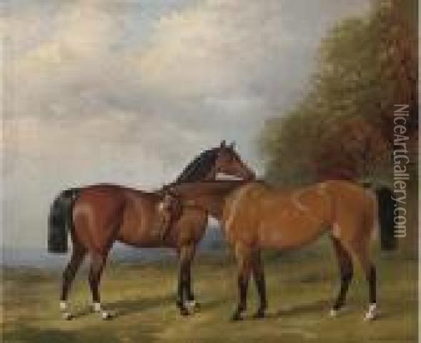 Two Bay Hunters In An Extensive Landscape Oil Painting - Henry Barraud
