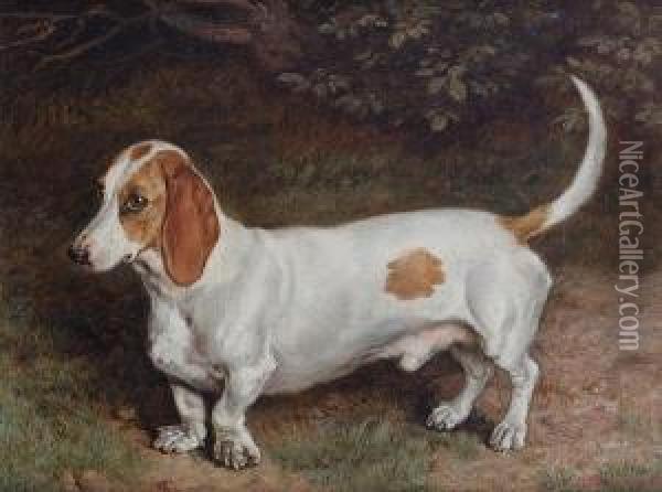 Portrait Of A Basset Hound Oil Painting - Frank Paton