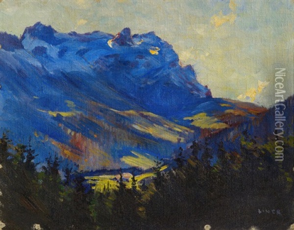 Blick Uber Das Wissbachtal Zum Alpstein Mit Ohrli Oil Painting - Carl August Liner