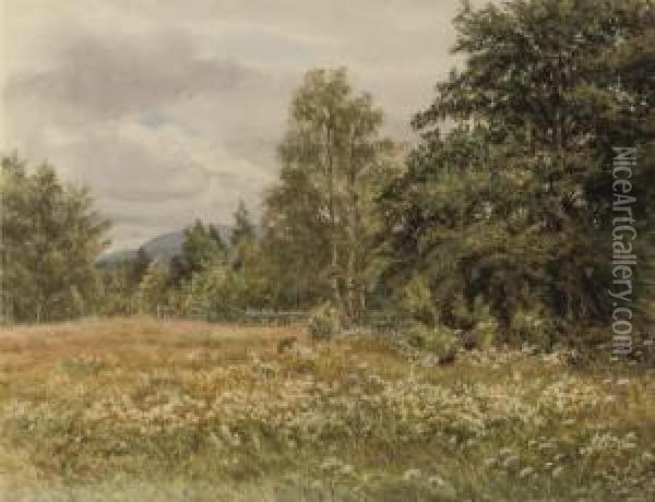 Wild Flowers In A Meadow, Thought To Be Near Aviemore Oil Painting - Gertrude Martineau