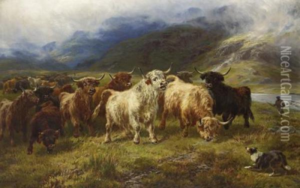 Collecting Highland Cattle Oil Painting - Henry Garland