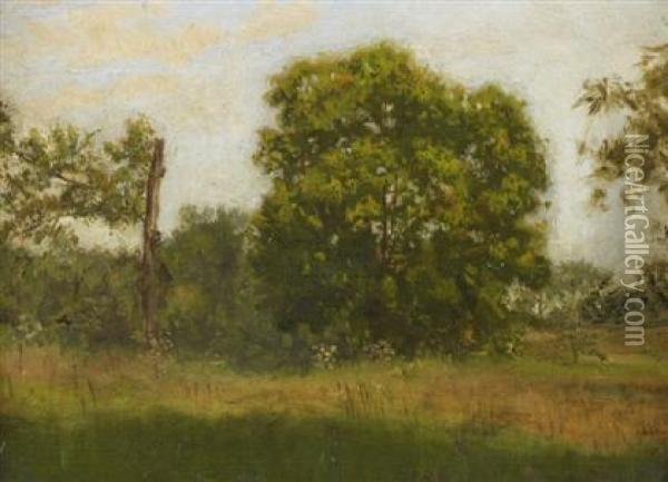 In The Country, Summer Oil Painting - Thomas Cowperthwait Eakins