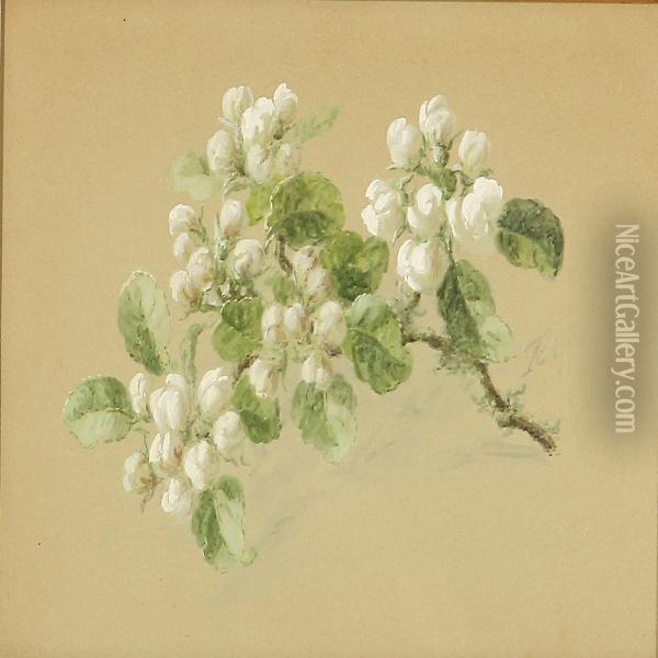 A Blooming Apple Branch Oil Painting - Anthonie, Anthonore Christensen
