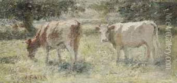 Cattle Grazing In A Meadow Oil Painting - Harry Filder
