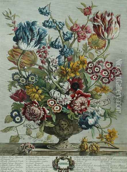 April, from 'Twelve Months of Flowers', by Robert Furber (c.1674-1756) Oil Painting - Pieter Casteels