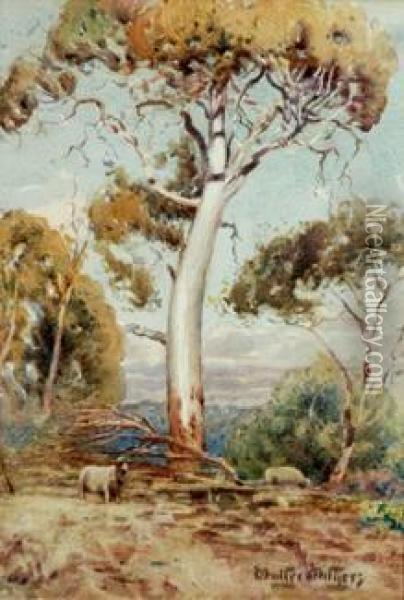 Sheep Grazing On The Hillside Oil Painting - Walter Withers