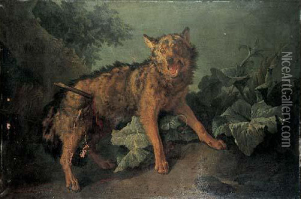 Le Loup Blesse Oil Painting - Jean-Baptiste Huet I