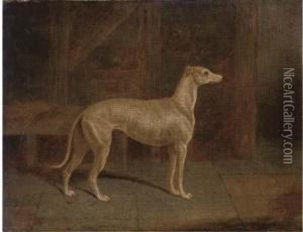 A Prize Greyhound In An Interior Oil Painting - Samuel Spode