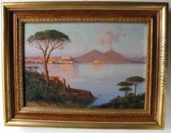 Veduta Di Napoli Con Il Vesuvio Oil Painting - Alessandro la Volpe