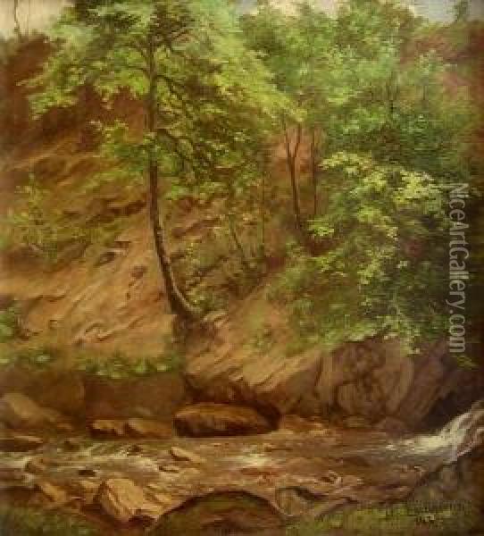 Bach Am Fuss Eines Bewaldeten Abhangs Oil Painting - Albert Schumann