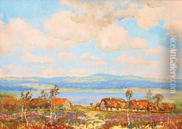 South Bohemian Wetland Oil Painting - Karel Langer