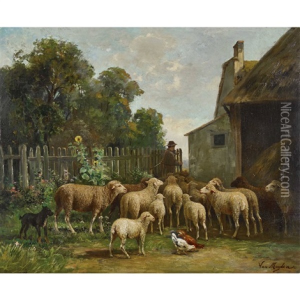 Gehoft Mit Schafer Und Schafherde Oil Painting - Alfred van (Jacques) Muyden