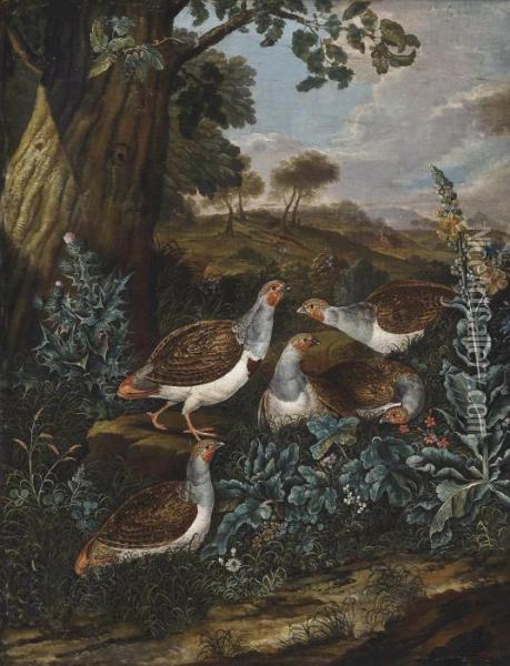 Partridges In A Landscape Oil Painting - Ferdinand Phillip de Hamilton