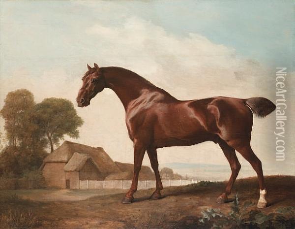 A Chestnut Thoroughbred Before A Barn In An Open Landscape Oil Painting - George Stubbs