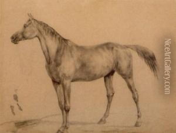 Stehendes Pferd Oil Painting - Rudolf Koller
