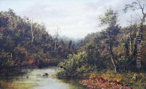 Waitakere Creek Oil Painting - Albert Edward Aldis
