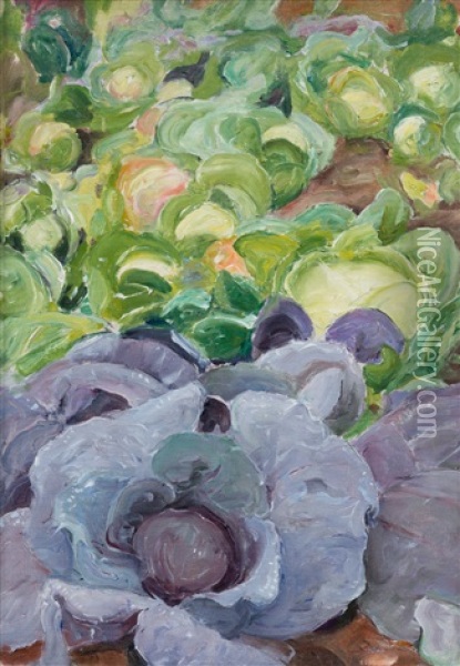 Red Cabbage Bed Oil Painting - Pekka Halonen