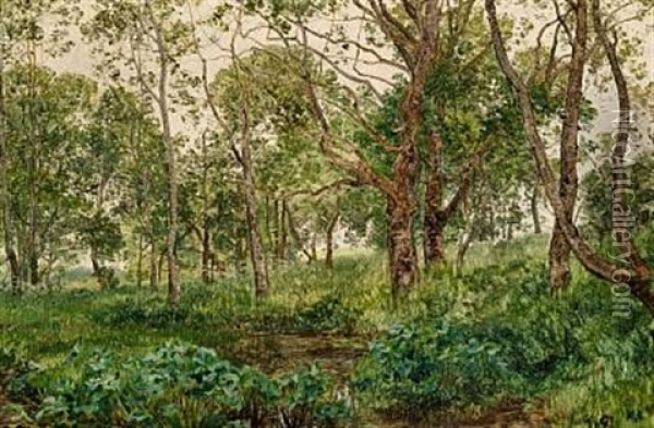 Woodland Scene Oil Painting - Janus la Cour