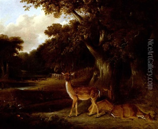 Deer In A Wooded Landscape Oil Painting - William Daniell