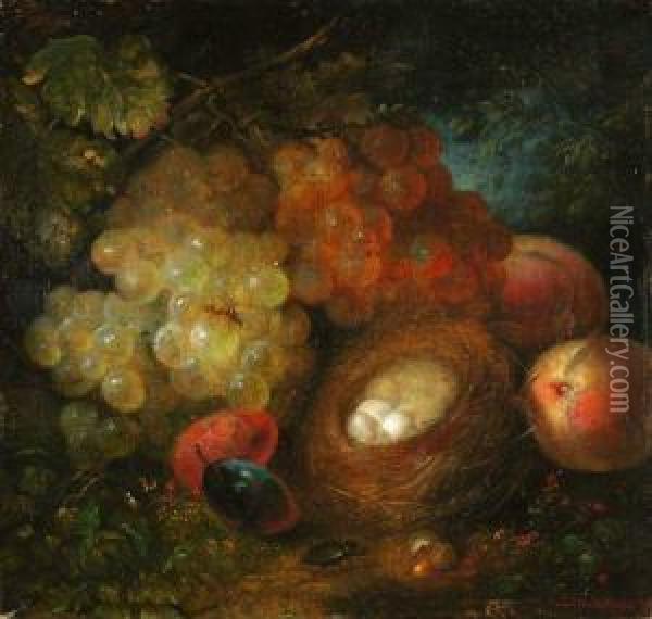 Waldbodenstilleben Mit Fruchten Und Vogelnest Oil Painting - Johann Schlesinger