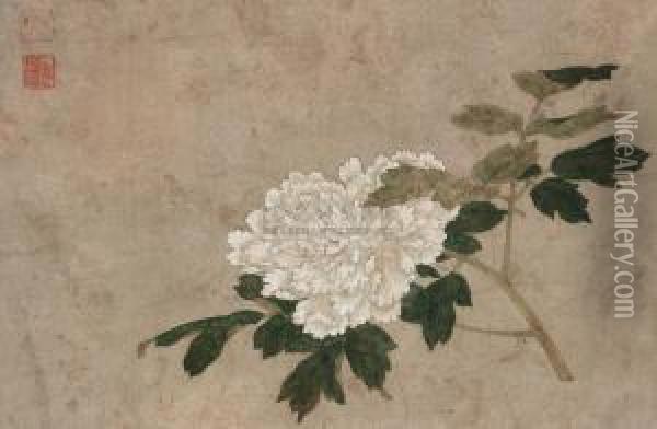 Chrysanthemum Oil Painting - Qian Xuan