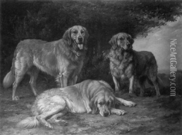 Yellow Russian Retrievers Oil Painting - Wright Barker