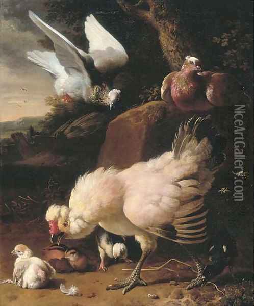 A chicken, chicks and pigeons on a fence, in a landscape Oil Painting - Melchior D'Hondecoeter