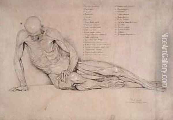An Ecorche Study of the Dying Gaul 1840 Oil Painting - William Linnell