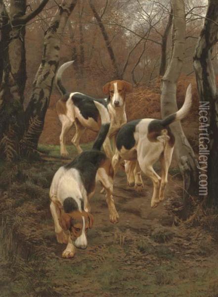 Hounds In Bracken Oil Painting - Edward Algernon Stuart Douglas