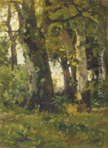 Boschgezicht: A Forest Oil Painting - Theophile De Bock