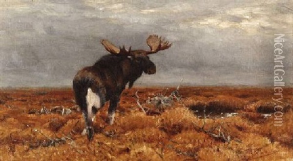 Elch Im Schwedischen Hochmoor Oil Painting - Wilhelm Friedrich Kuhnert