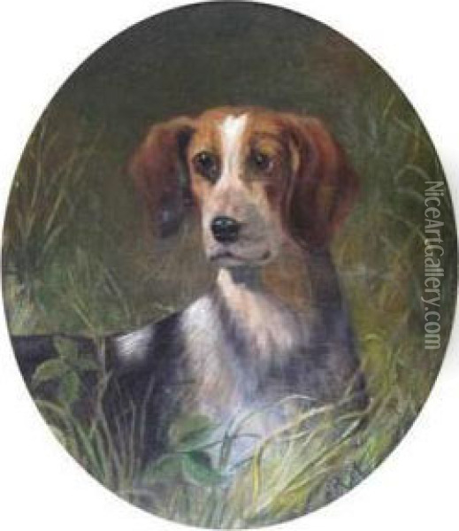 A Hound In Long Grass Oil Painting - Richard S. Moseley