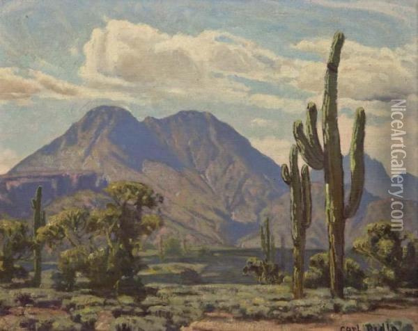 Landscape With Saguaro Oil Painting - Carl Redin