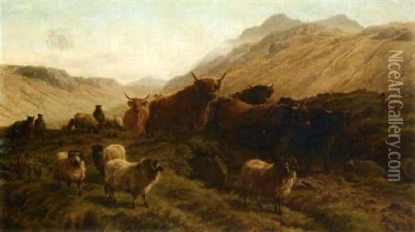 Moutons Et Ses Taureaux Des Highlands Oil Painting - Charles Jones