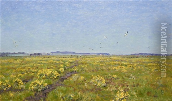 Field With Yellow Flowers Oil Painting - Viggo Pedersen