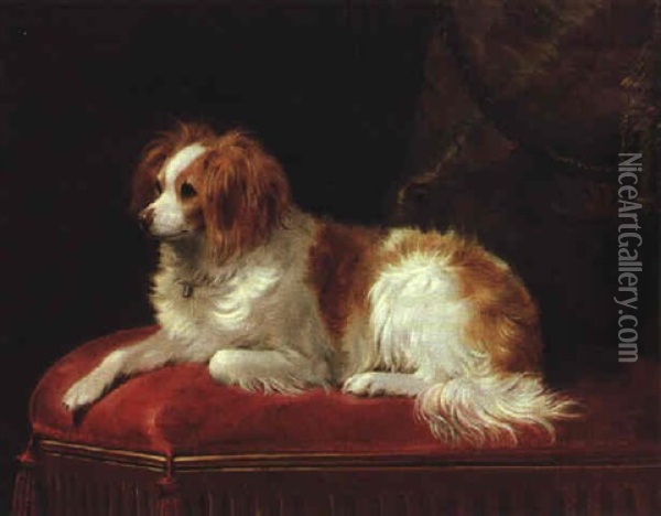 A Brown And White Spaniel Seated On A Red Cushion Oil Painting - William Barraud