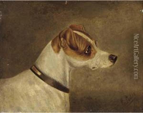 Head Of A Terrier Oil Painting - Edwin Loder